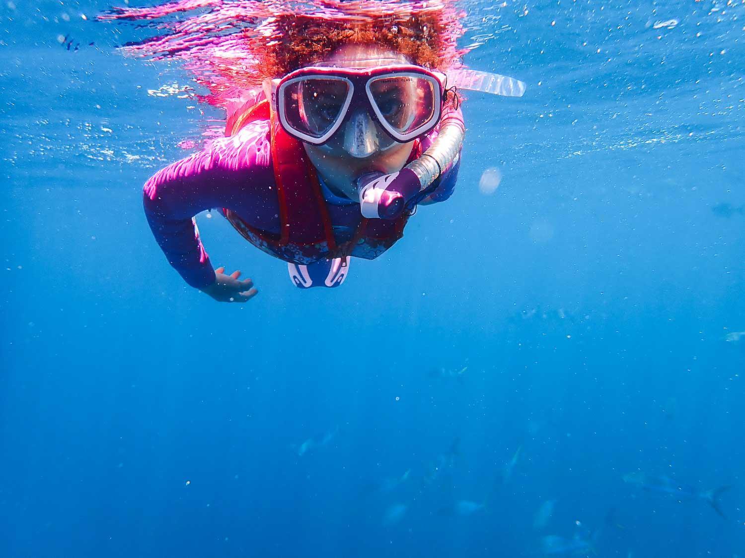 Sealion Dive Center Otel Topolobampo Dış mekan fotoğraf