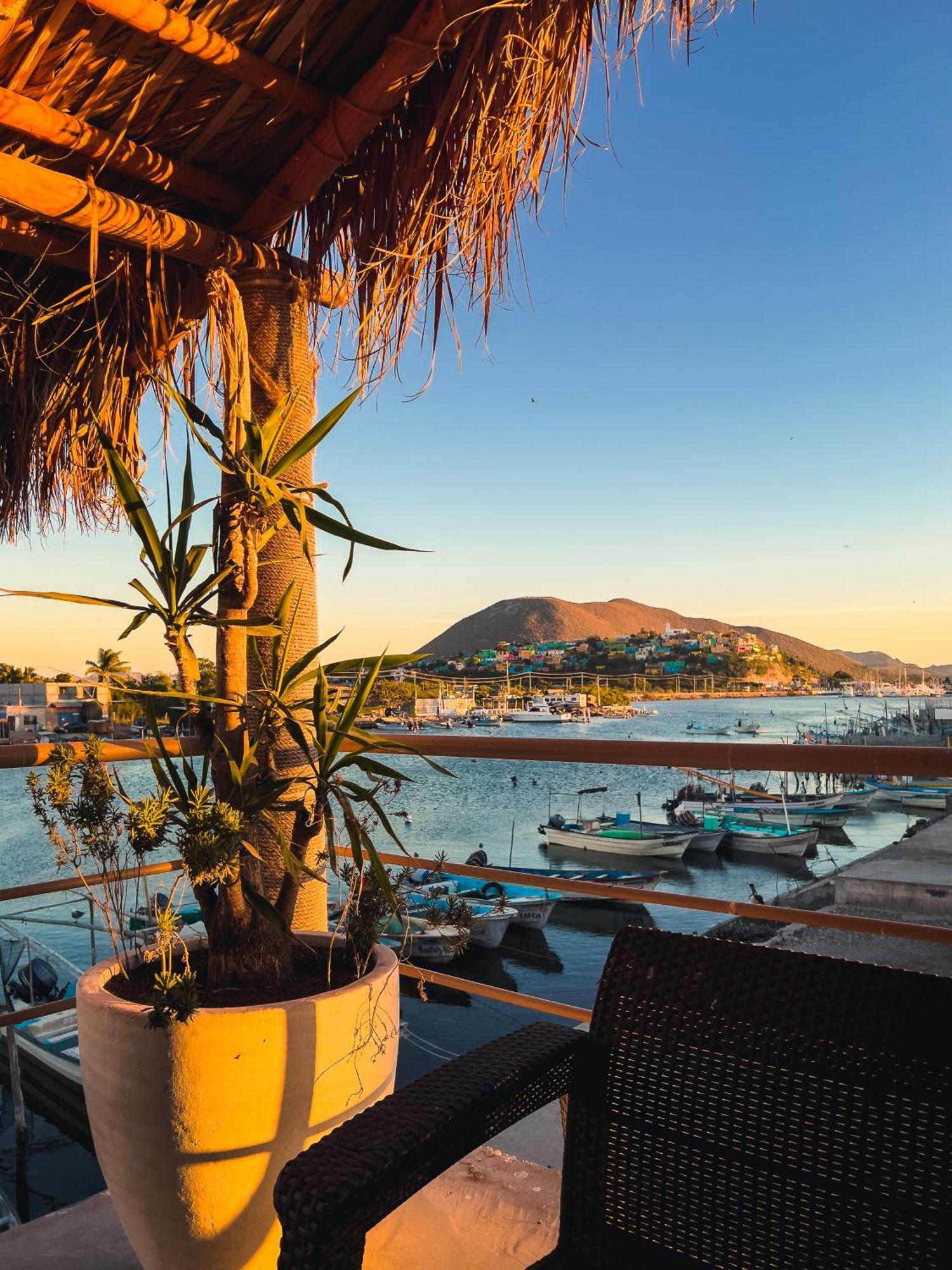 Sealion Dive Center Otel Topolobampo Dış mekan fotoğraf