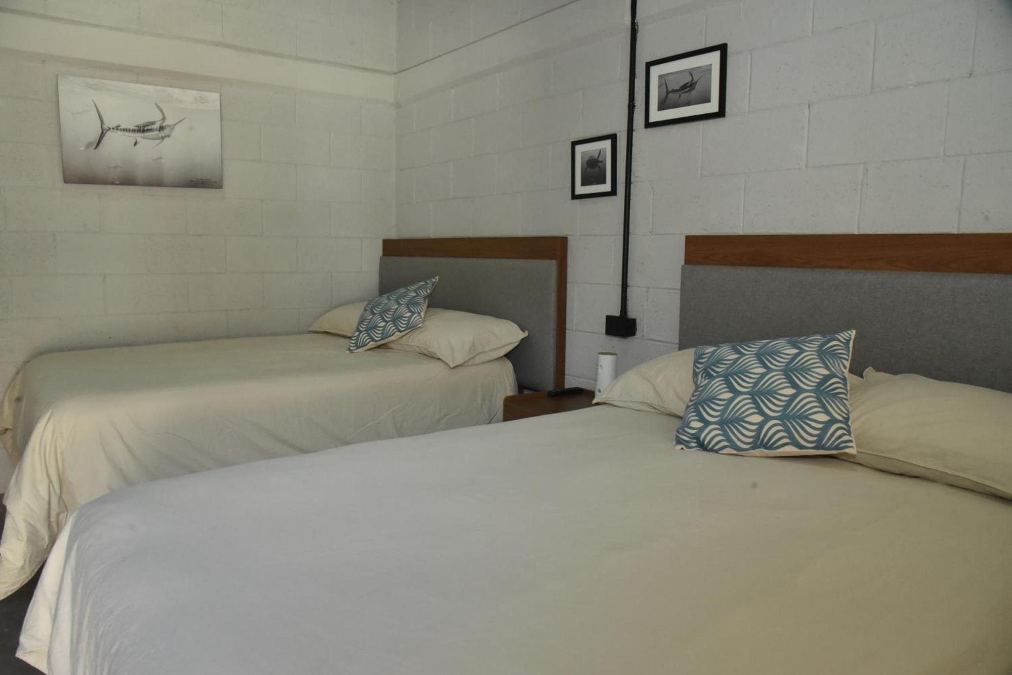 Sealion Dive Center Otel Topolobampo Dış mekan fotoğraf