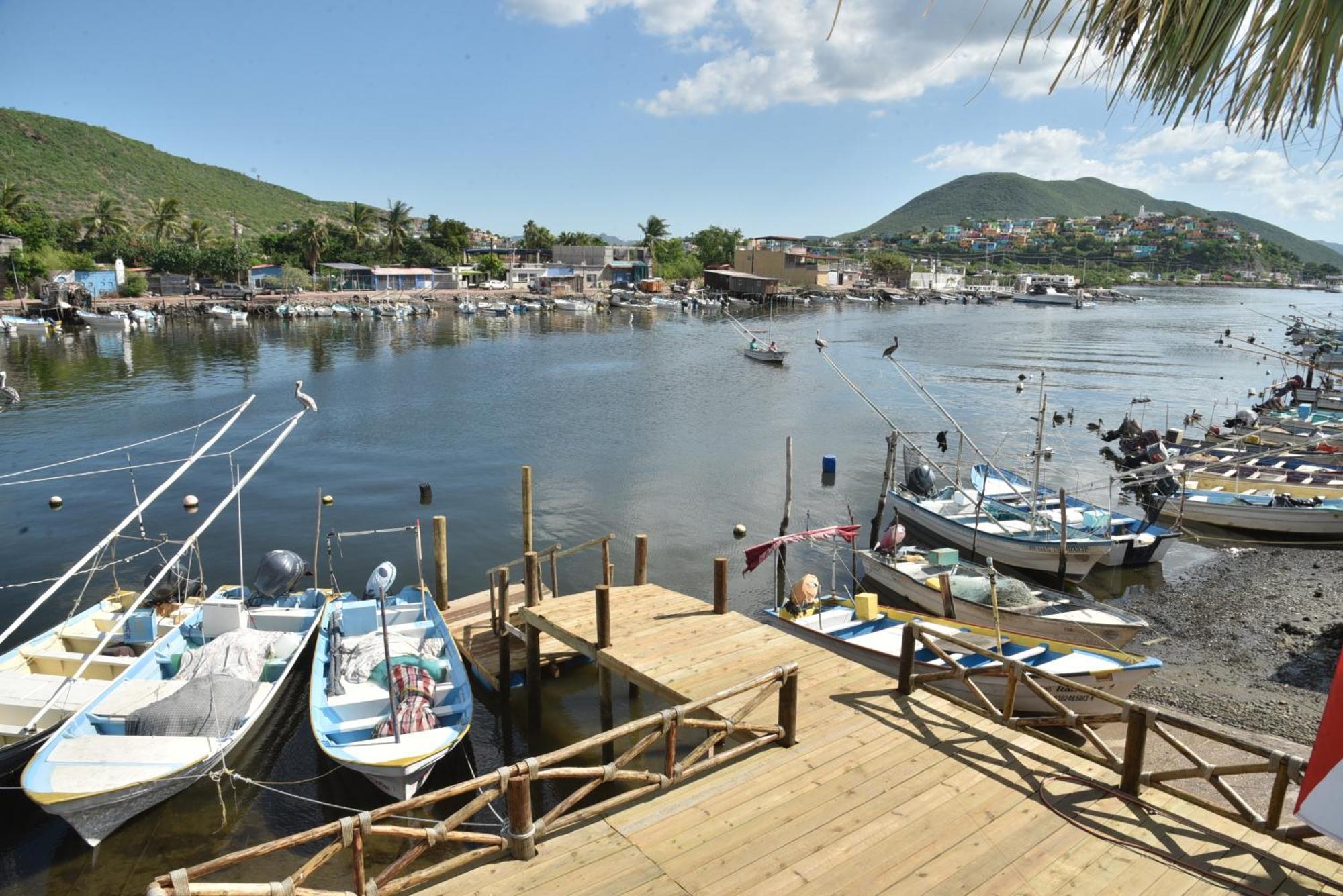 Sealion Dive Center Otel Topolobampo Dış mekan fotoğraf